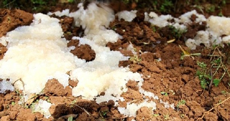 ¿El fin de las sequías?: agua sólida, el invento que revolucionó la actividad agrícola de México