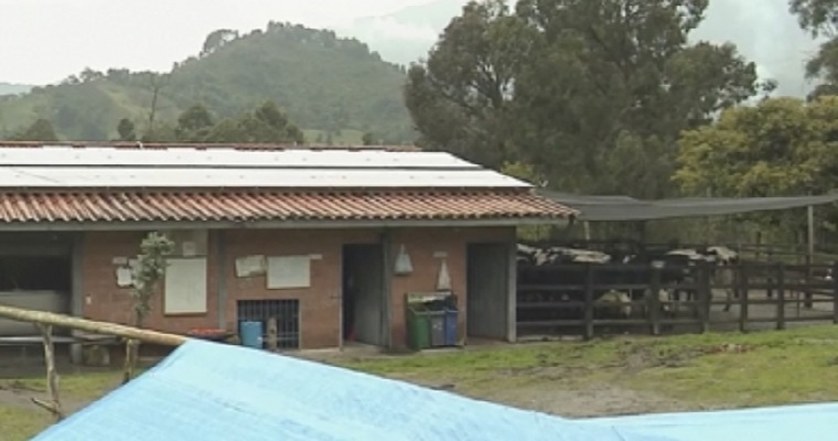 Conozca el caso de esta finca que se autoabastece de energía para sus actividades