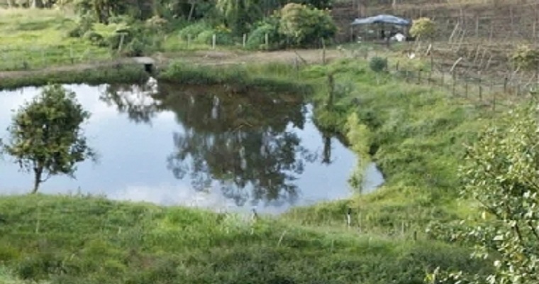 En el Día Mundial del Agua aprenda a conservarla en su predio