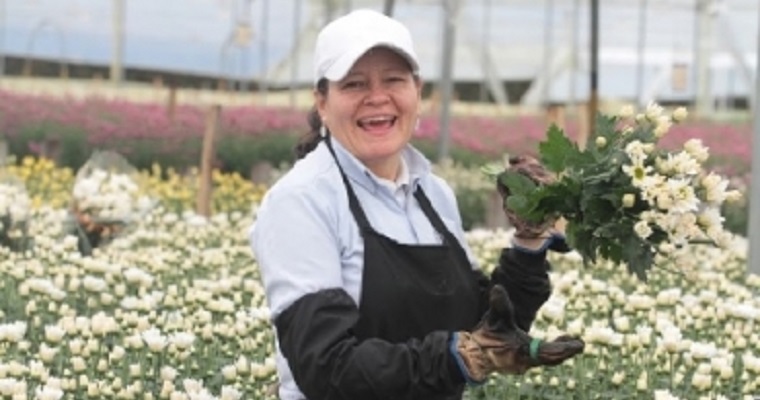 3 secretos de las flores de Colombia