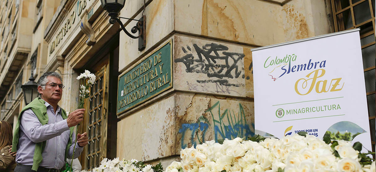 Flores en reconocimiento a la paz - 07 de octubre de 2016