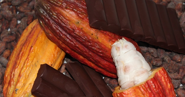 Inicia convocatoria para asociaciones productoras de cacao y caña para del Plan Nacional de Semillas