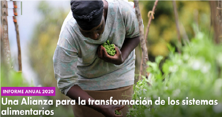 Una Alianza para la transformación de los sistemas alimentarios