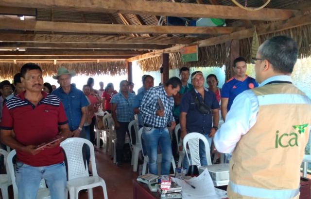 Apicultores de Arauca se capacitan en el manejo integrado de plagas