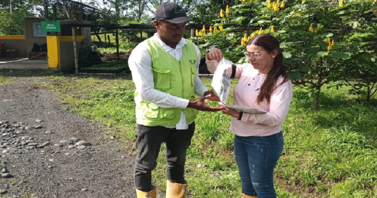 El ICA y palmicultores de la costa pacífica nariñense unidos para combatir el picudo en los cultivos
