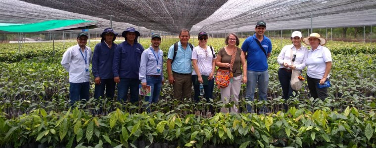 Alianza Interinstitucional permitiría que Agencia Canadiense cofinancie programa de siembra de cacao