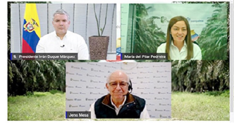 Con impulso al consumo nacional, la palma de aceite le apuesta a la reactivación económica y generación de empleo