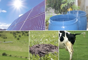 5 abonos que resultan gratis para la producción ganadera