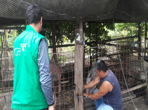 Con el ICA, los productores pecuarios previenen el ingreso de enfermedades al Guainía