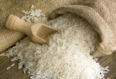 Fedearroz continuará con la investigación basada en el uso de energía nuclear