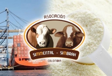 La volatilidad de los precios de la leche mata a cualquiera, dice Asosimmental