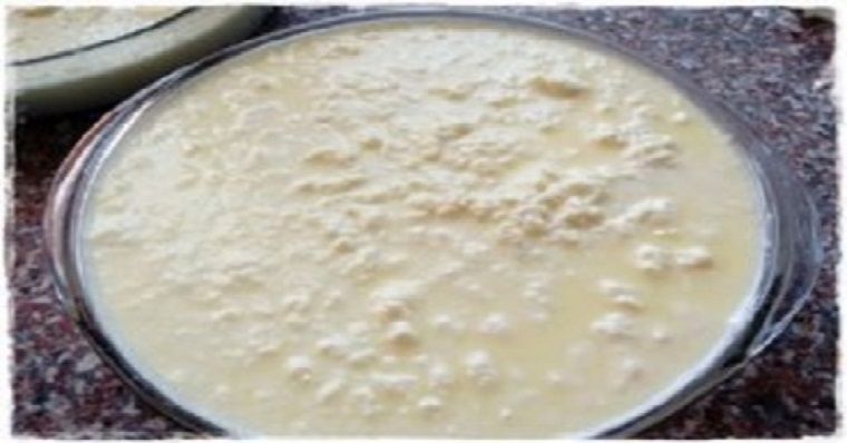 La lactoferricina, proteína del calostro de la vaca, podría curar el cáncer