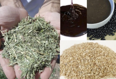 Combine pasto, melaza, harina de frijol y torta de soya