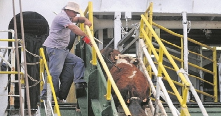 Jordania y Egipto son los países más costosos para exportar