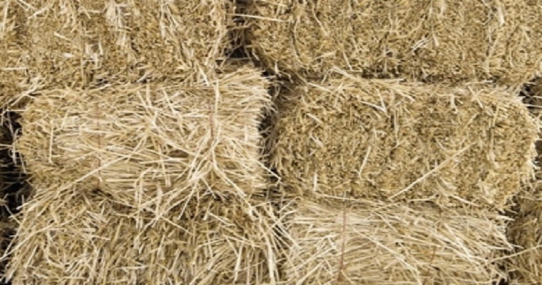 En Ubaté, en solo 10 días la paca de heno subió 16,6%