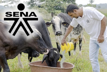 SENA estrechará vínculos y transferencia de conocimiento con los ganaderos
