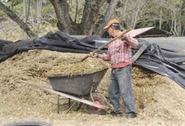 Ante la escasez de comida, en Huila producen silos y crean concentrado