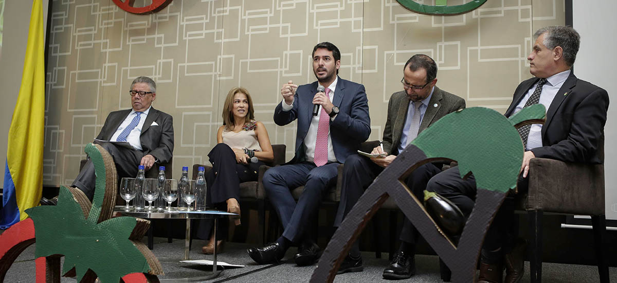 Baja en precios favorece el consumo de frutas y verduras - 02 de octubre de 2016