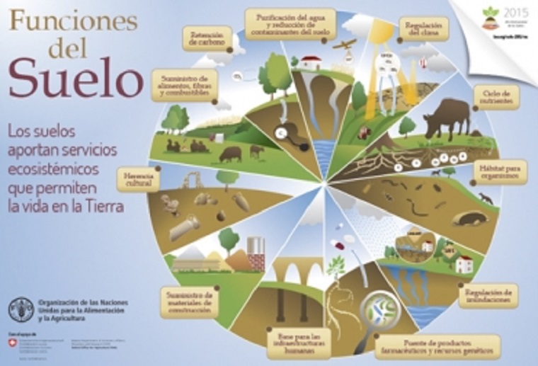 ¿Sabe usted cuáles los servicios ecosistémicos asociados al suelo?