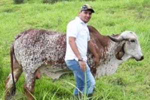 Heterosis del cruce Gyr x Holstein: una herramienta genética para producir leche en el trópico