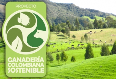 IV convocatoria para participar en el proyecto Ganadería Colombiana Sostenible