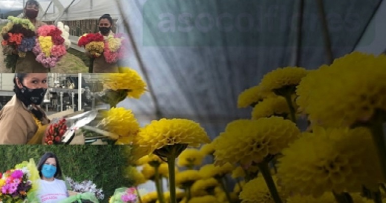 La mujer, eje principal en la sostenibilidad del sector floricultor