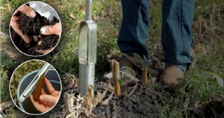 Criterios para evaluar el estado y calidad del suelo en campo