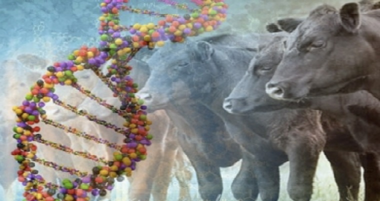 Así está la genética hoy en Colombia