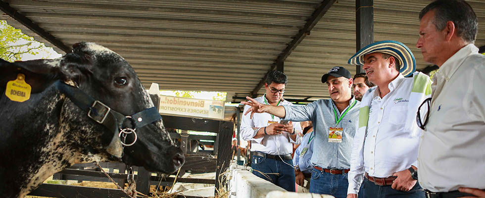 Georgia abrió el mercado para la carne bovina colombiana - 20 de Noviembre de 2015