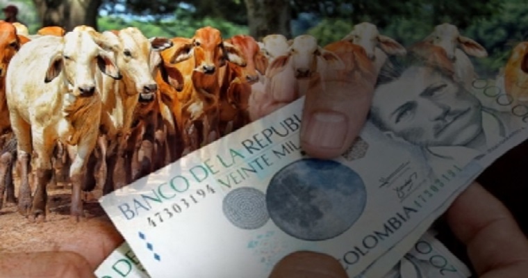 ¿Le interesa implementar genética élite en su finca? Esta nueva alianza de crédito le permitirá hacerlo