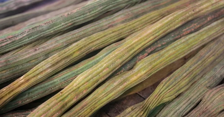 La guama, clave en el tratamiento de enfermedades como la diabetes y osteoporosis