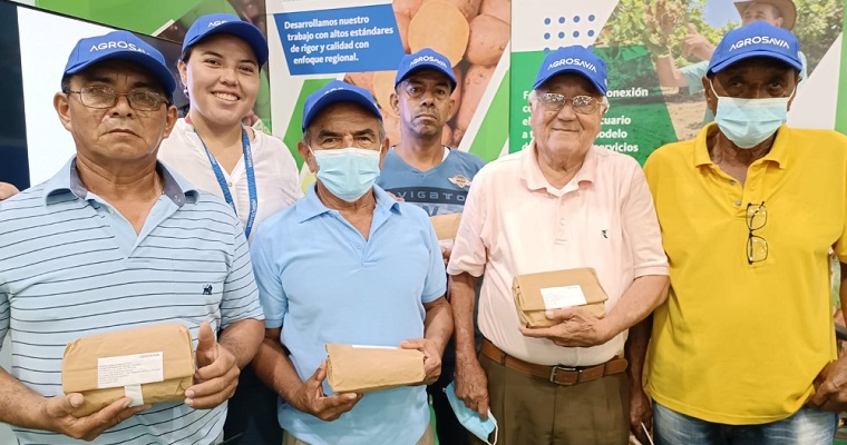 AGROSAVIA lanza manual para producir semilla de calidad de fríjol guandúl en Colombia