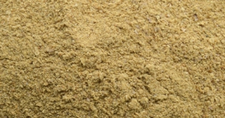 Harina de residuo de camarón eleva peso y mejora reproducción en novillas