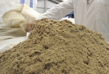 ¿Qué tan rentable es el uso de harina de pescado en ganadería?