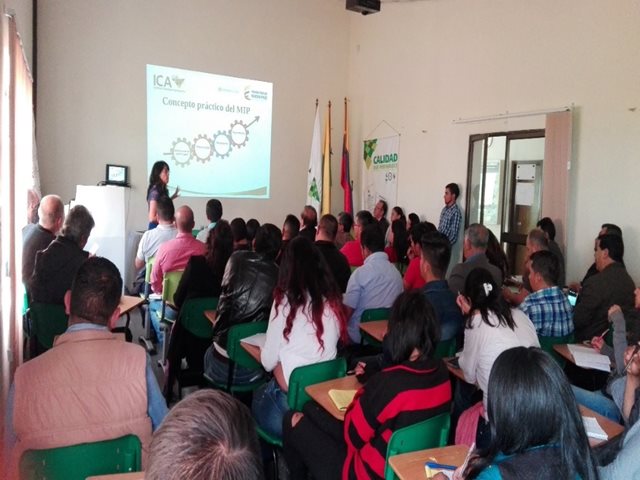 Productores agrícolas de Nariño se capacitan en el manejo técnico del cultivo de aguacate Hass - 28 de noviembre de 2017