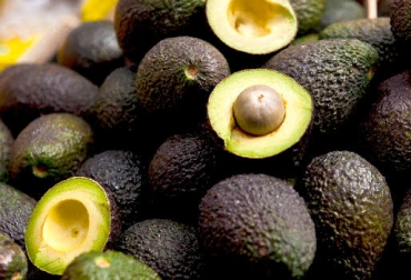 Satisfacción en Caldas tras primer año de exportación de aguacate a EE.UU.