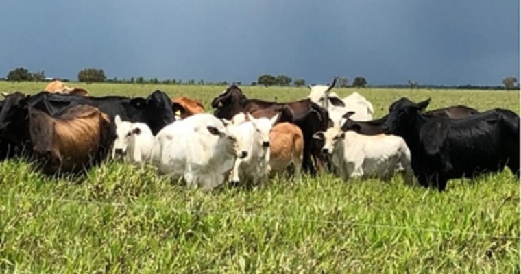 Aprenda de las exitosas innovaciones de la Hacienda San José