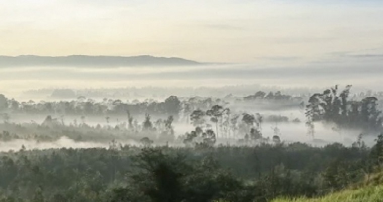 Hasta abril temperatura estará por encima del promedio