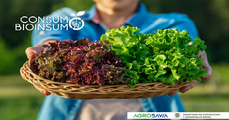 Consumo Bioinsumo, una apuesta del país