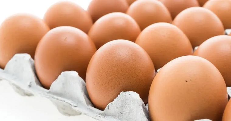 Colombia exporta por primera vez huevo a Cuba y espera mantener ese mercado