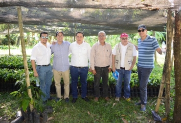 Huila participará en proyecto agroforestal con cacao