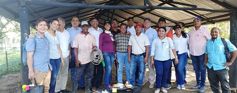 AGROSAVIA realiza taller teórico – práctico sobre el agronegocio ovino caprino en el Caribe Colombiano