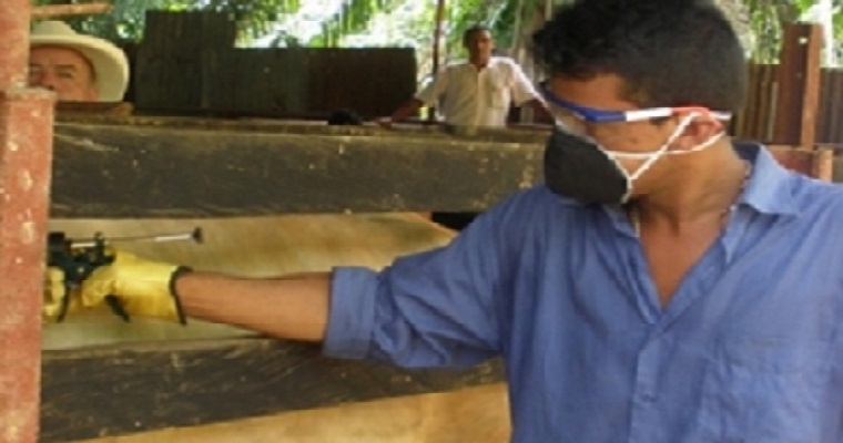 En marcha preparativos para el II ciclo de vacunación