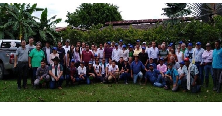 AGROSAVIA realizó el curso sobre establecimiento y manejo de pastos y forrajes en suelos ácidos de la Altillanura