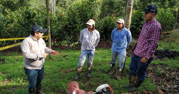 Disponible revolucionario servicio para diagnosticar cadmio en cultivos cacaoteros