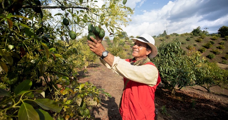 Colombia apuesta por el Agro del futuro con la Primera Cumbre Nacional de Inteligencia Artificial en el sector
