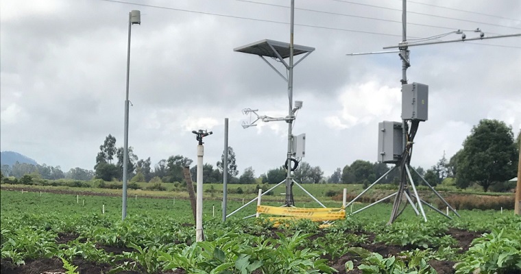 Nuevo sistema de información agroclimática revoluciona la gestión hídrica del cultivo de papa