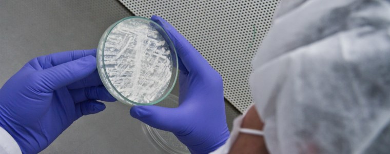 Ciencia sin fronteras