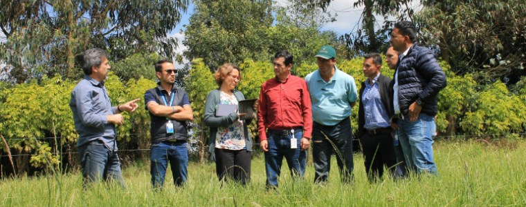 Nuevo horizonte para el desarrollo agrosilvopastoril en Colombia