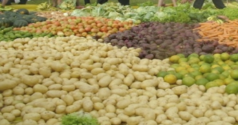 Importaciones de alimentos y bebidas superaron el millón de toneladas en el primer bimestre del año